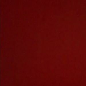 Meet your Posher, Leila